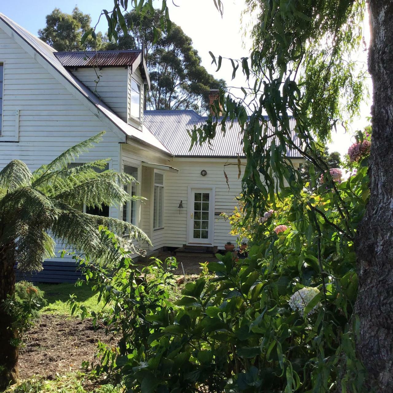 Bed and Breakfast Harrison House Strahan Exterior foto